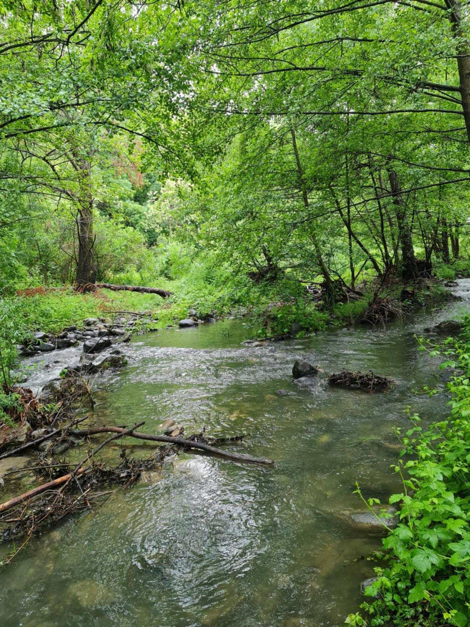 Le Moulin D'onclaire Et D'hotes Bed & Breakfast